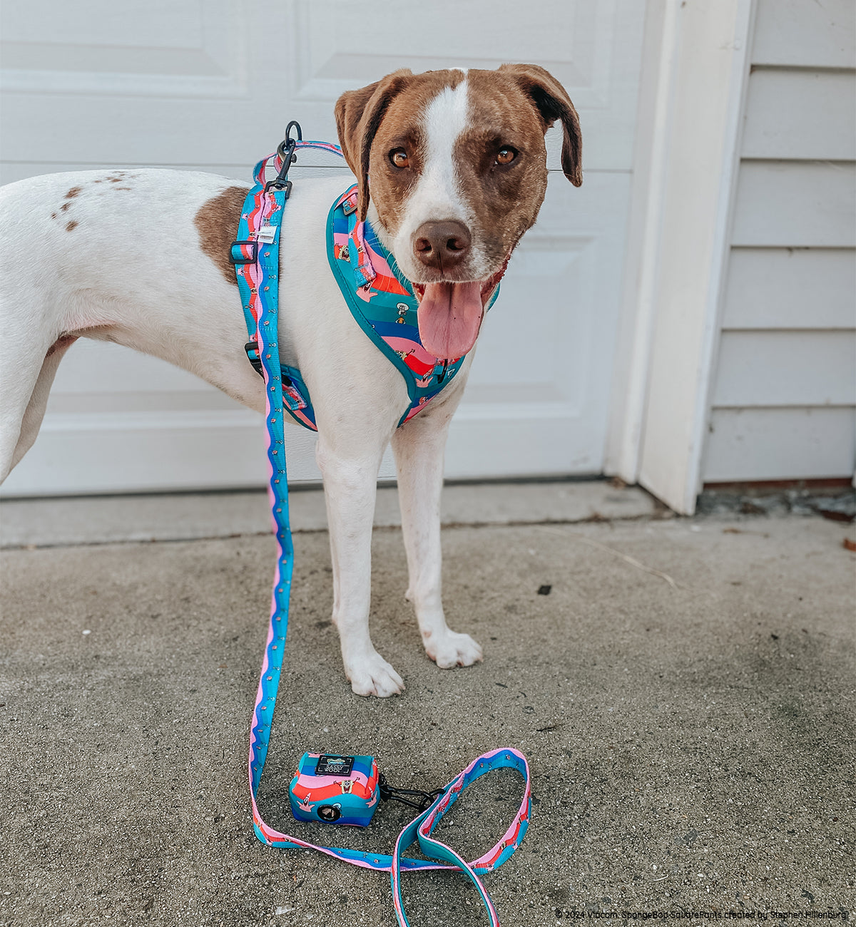 INFLUENCER_CONTENT | @MYGIRLLAYLA