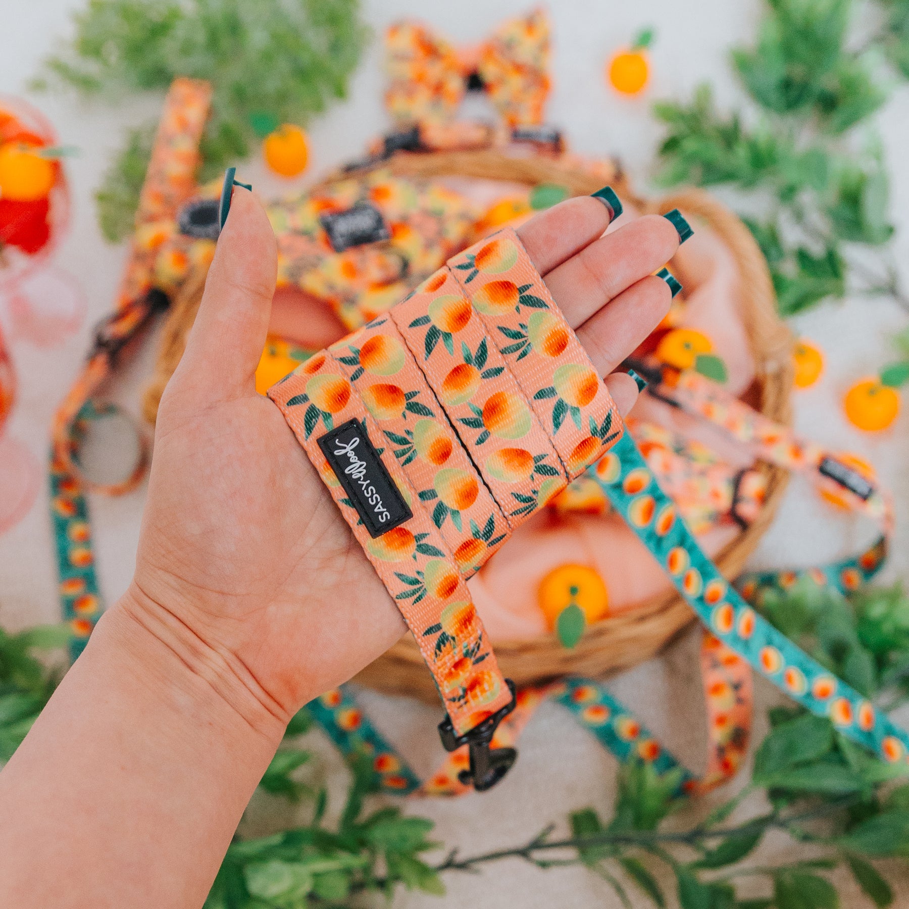 Dog Leash - Mango Tango