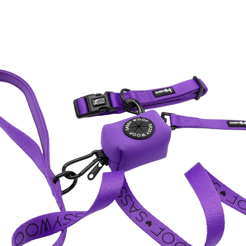 Collar Three Piece Bundle - Neon Purple