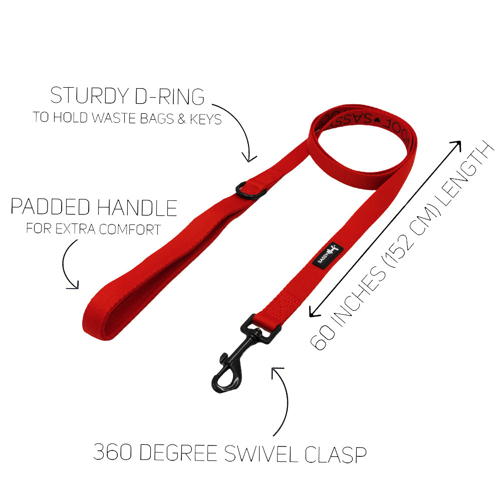 Dog Leash - Neon Red