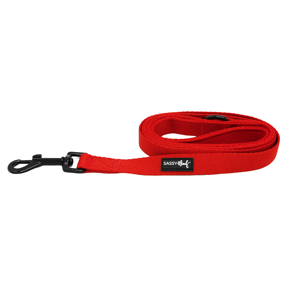 Dog Leash - Neon Red