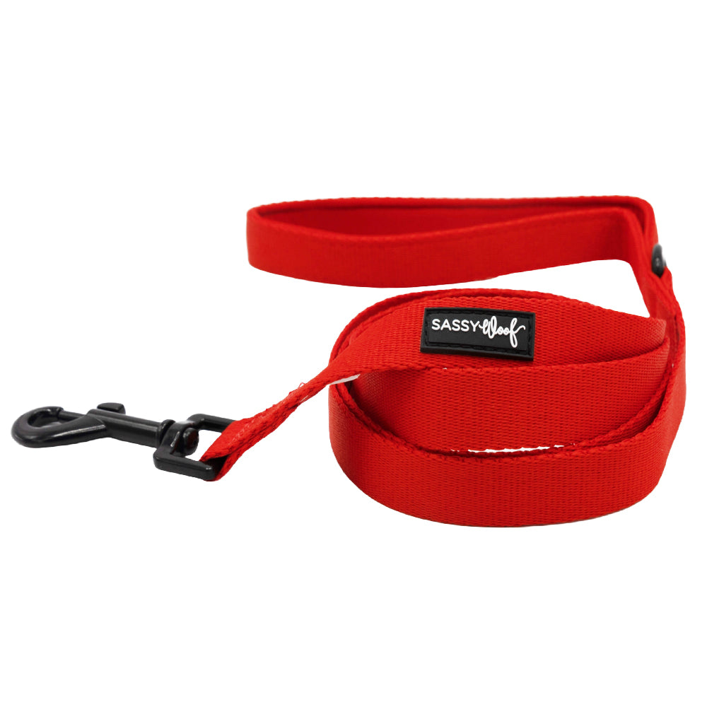 Dog Four Piece Bundle - Neon Red