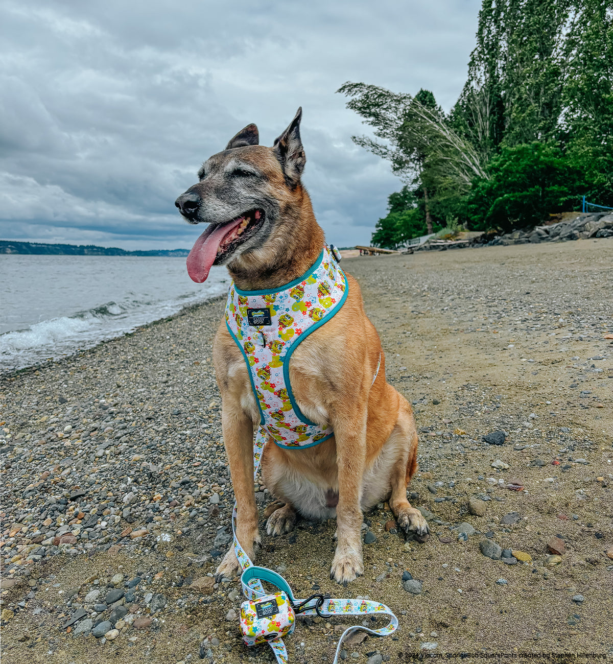 INFLUENCER_CONTENT | @NIKANDNYLA