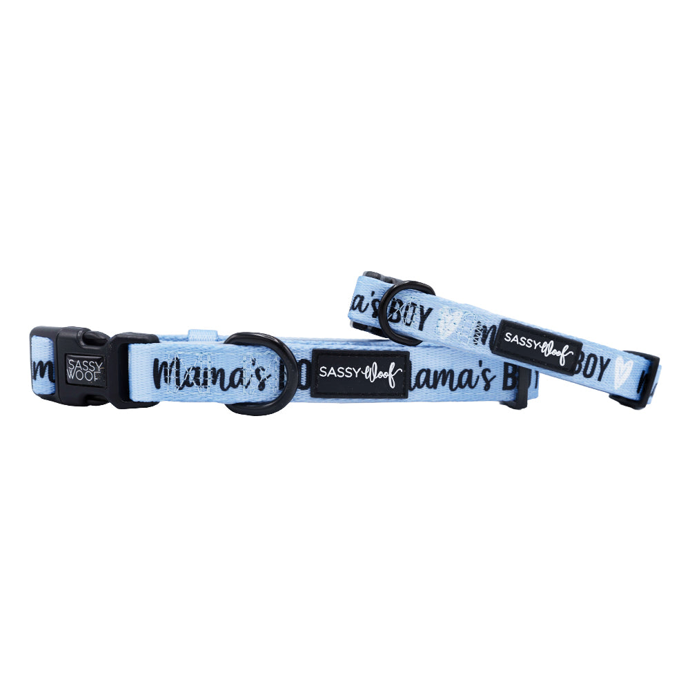 Dog Collar Mama's Boy Sassy Woof Product - Main Image