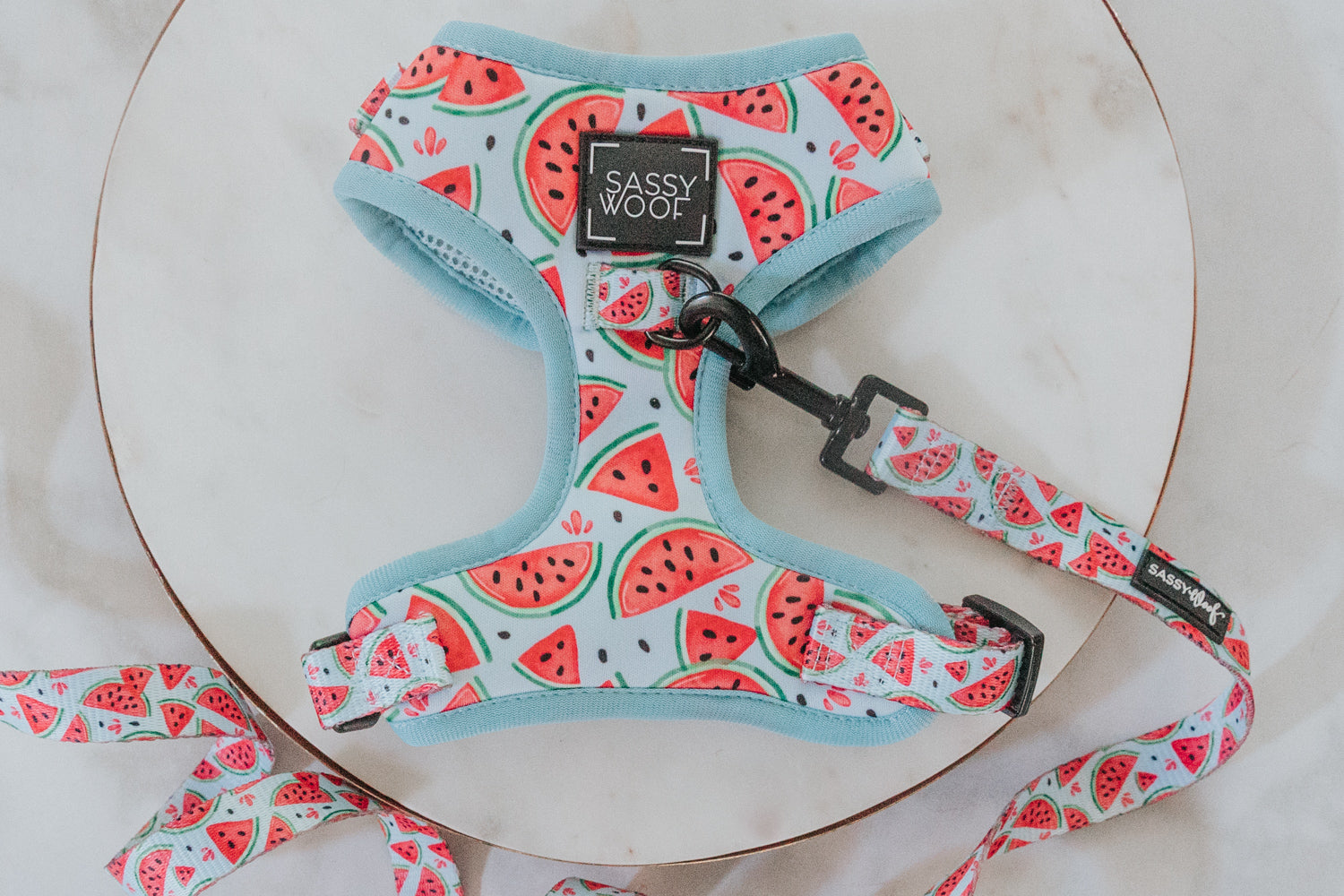 Dog Two Piece Bundle - Oh My Melons