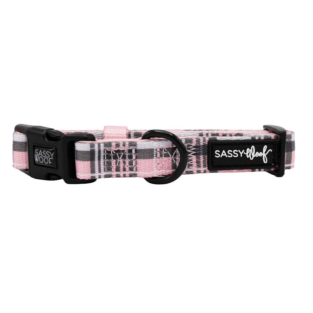 Dog Collar - Pawberry