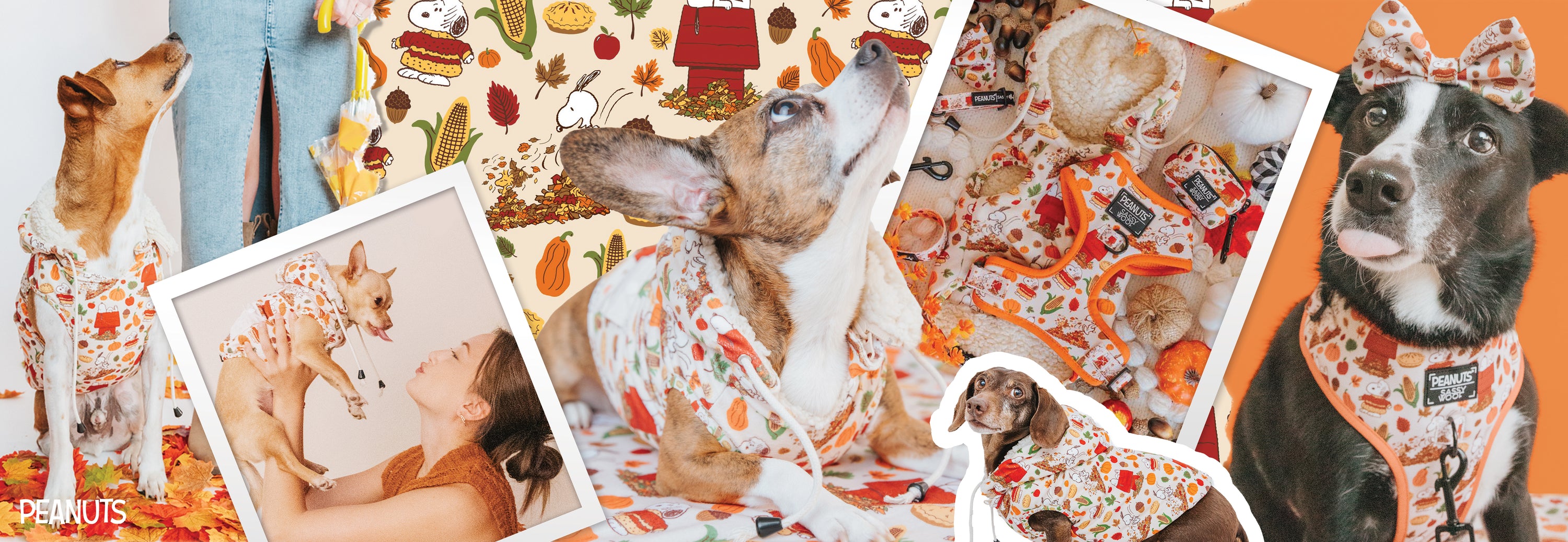 A collage of dogs wearing autumn-themed Peanuts outfits, surrounded by fall leaves, pumpkins, and Peanuts decorations. One dog wears a matching bow, and a woman lifts a dog dressed in a Peanuts onesie.
