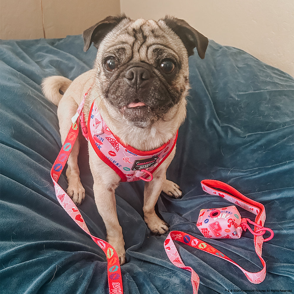 INFLUENCER_CONTENT | @PENNIEPUG | SIZE M & S