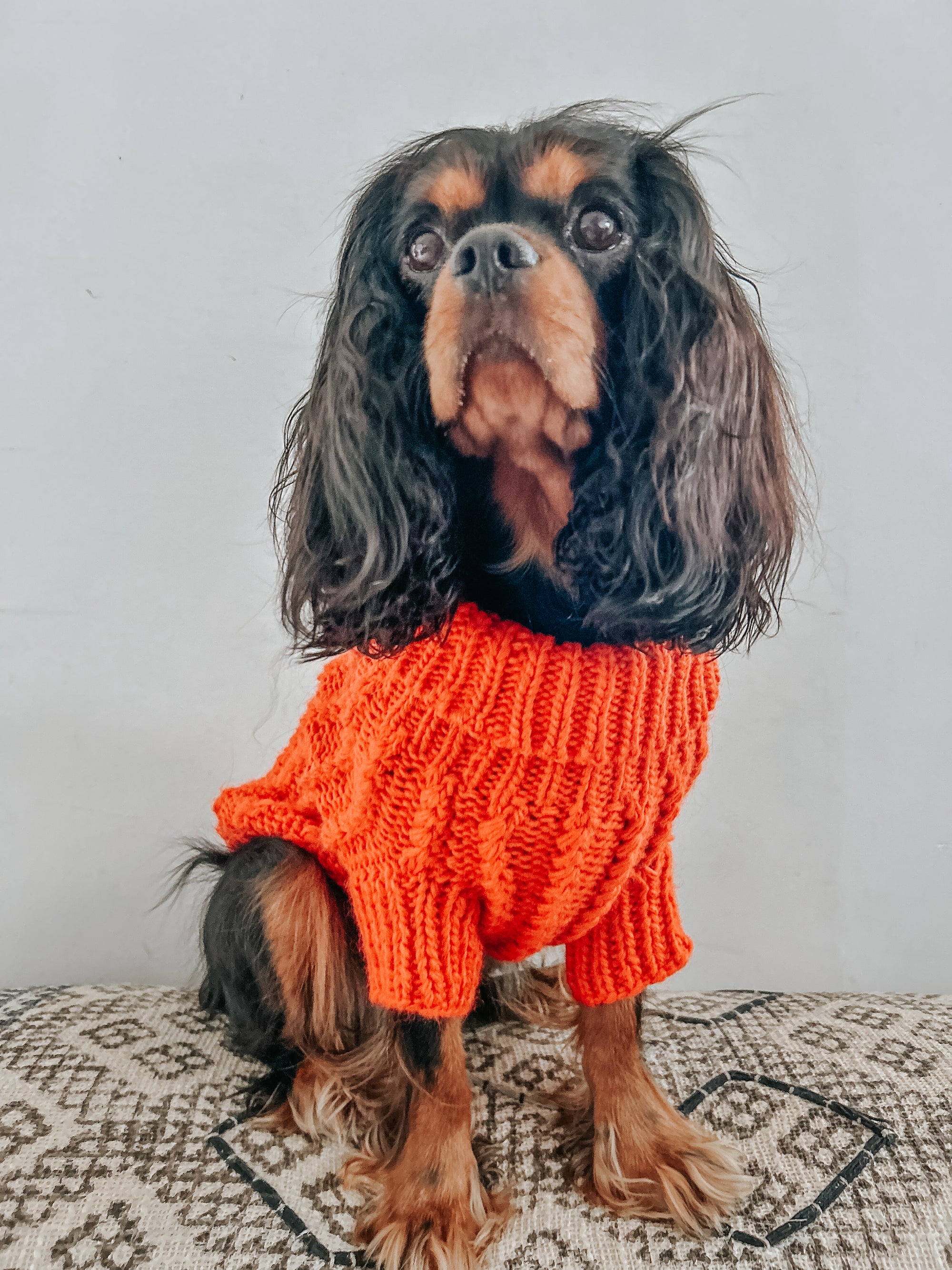 INFLUENCER_CONTENT | @PENNYTHECAVALIER2020 | SIZE M