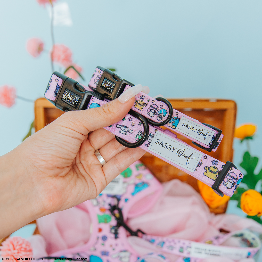 Dog Collar - Hello Kitty® & Friends Flower Festival