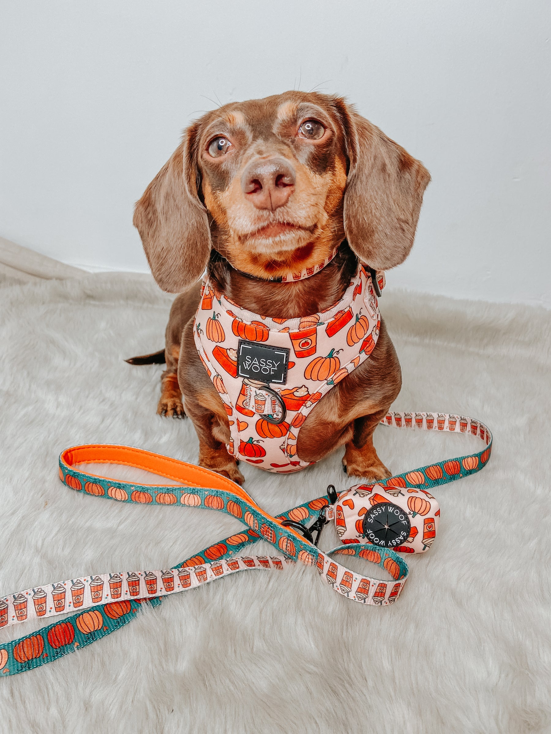 Dog Two Piece Bundle - Pie There