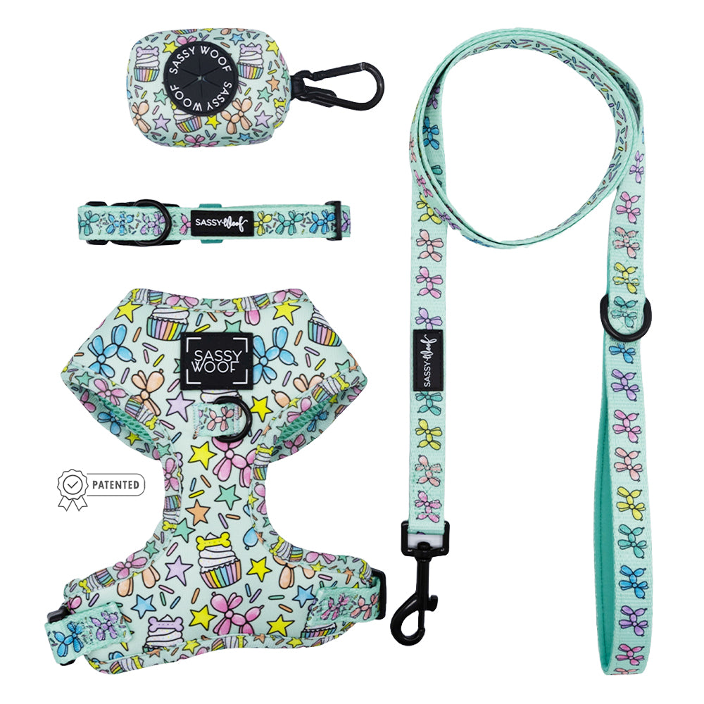 Dog Four Piece Bundle - Pup Pup Hooray