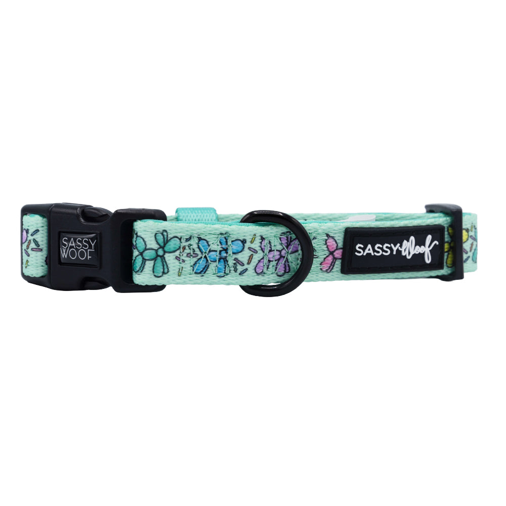 Dog Collar - Pup Pup Hooray