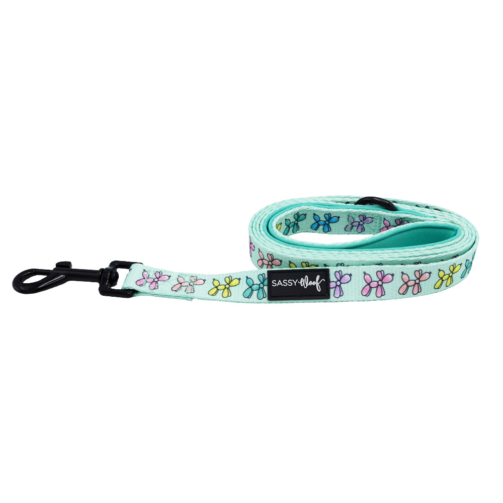 Dog Leash - Pup Pup Hooray