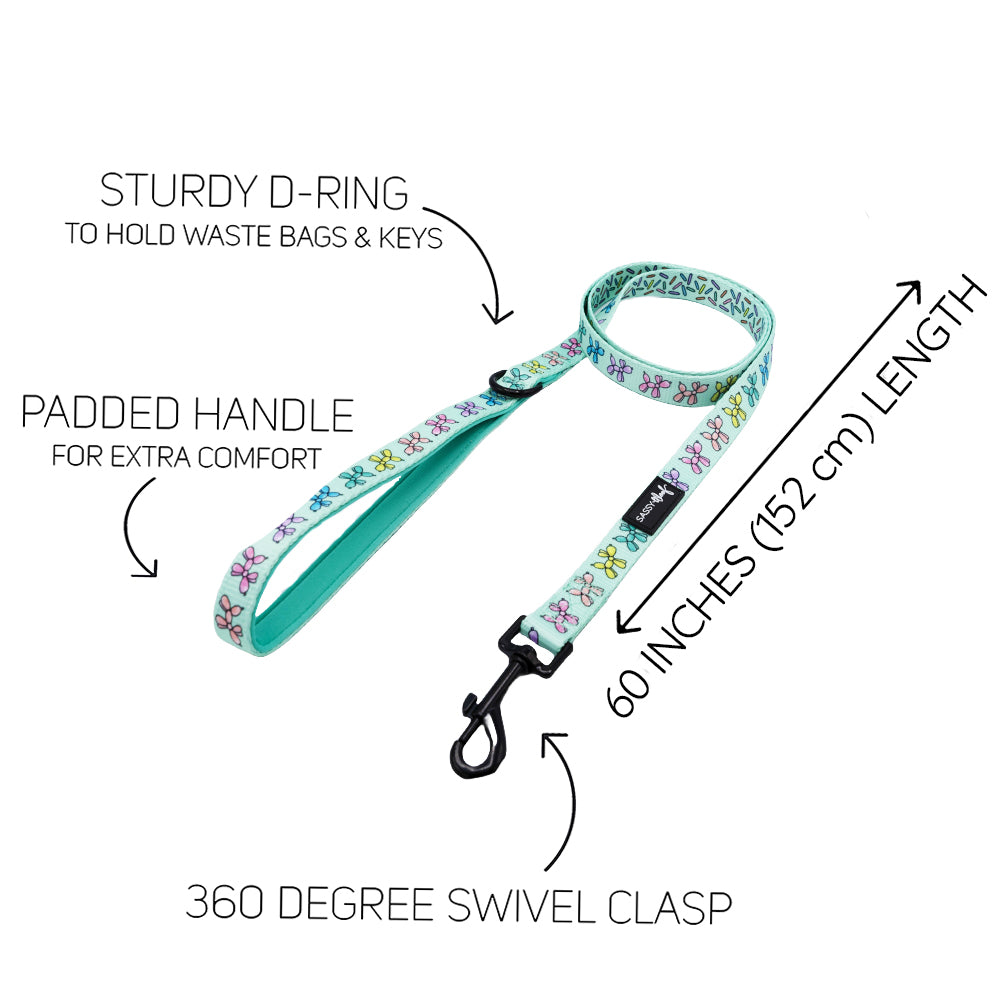 Dog Leash - Pup Pup Hooray