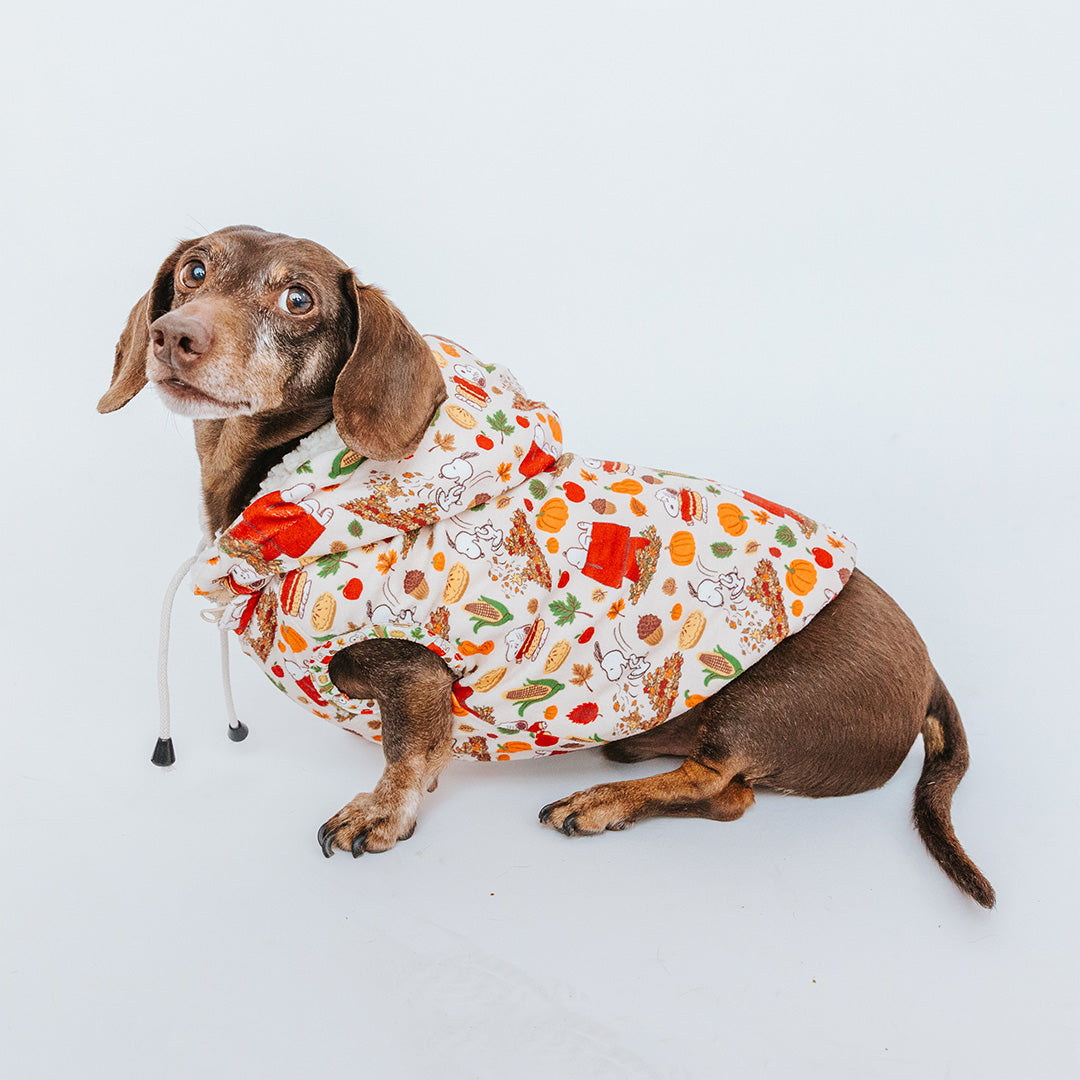 Dog Reversible Sherpa Jacket - Peanuts Harvest | Sassy Woof Product