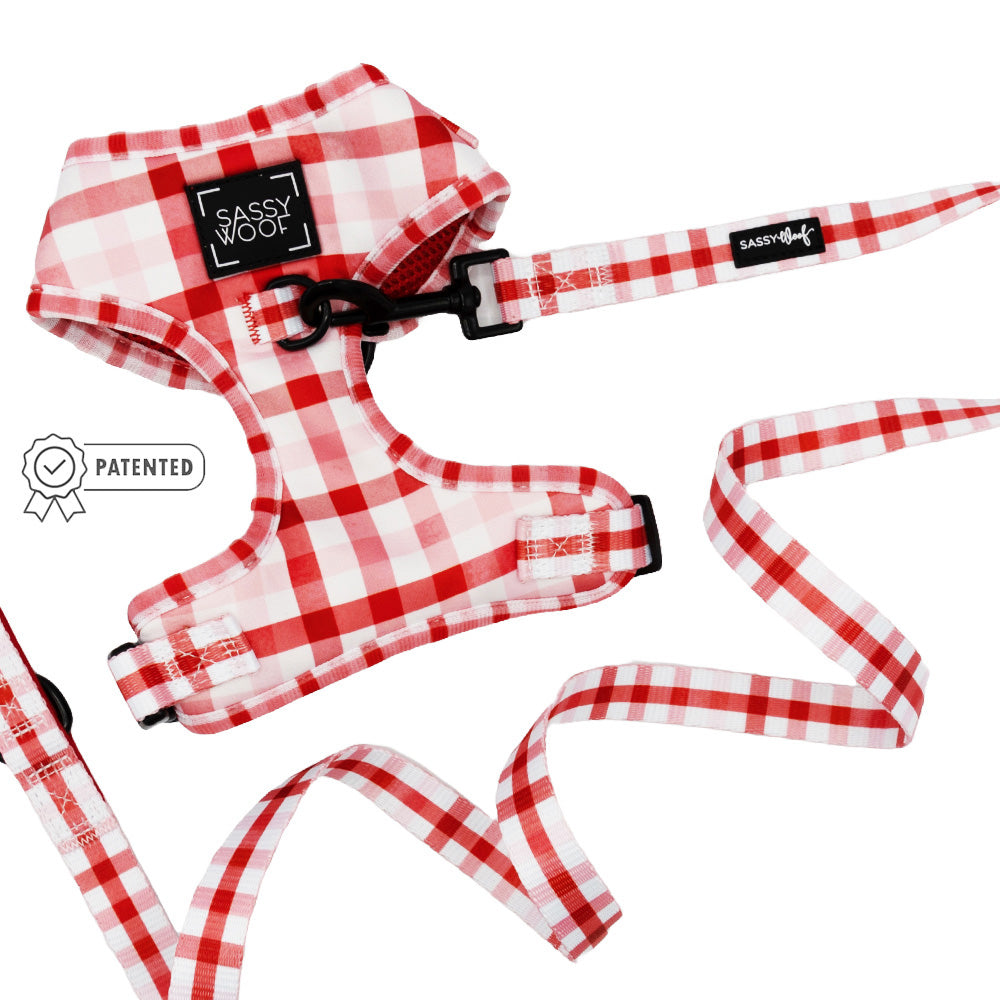 Dog Two Piece Bundle - Picnic Fur Two