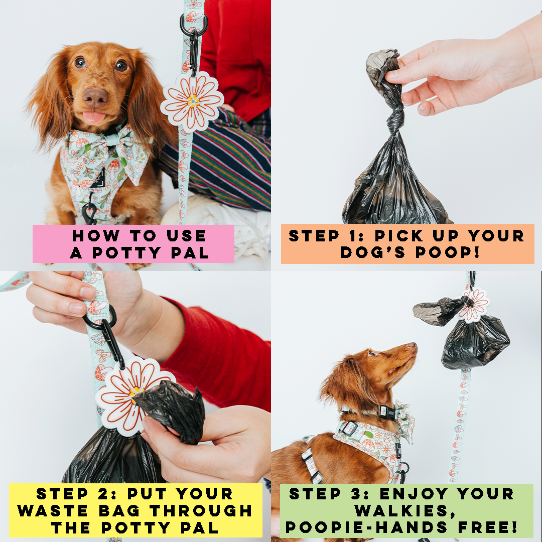 Potty Pal - Pink Bow