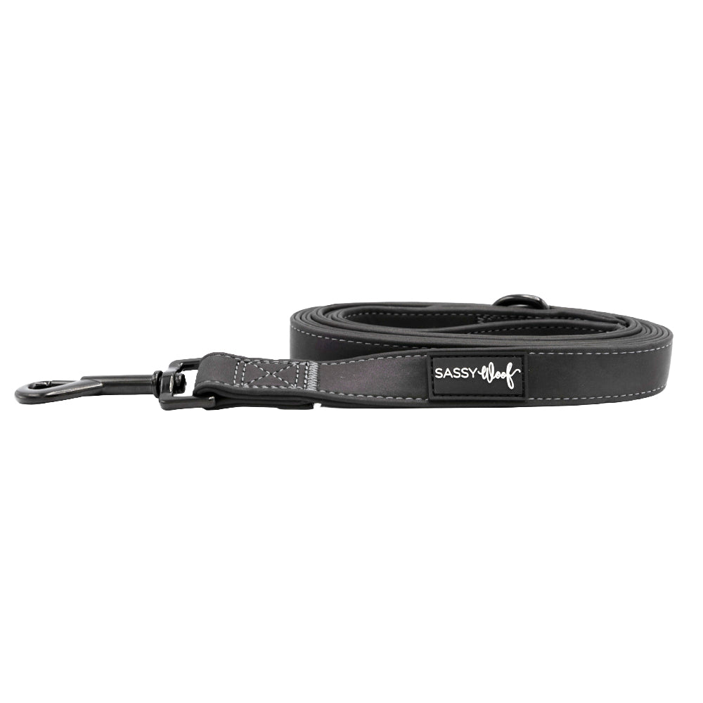 Dog Three Piece Bundle - Reflection