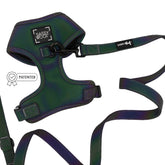 Dog Two Piece Bundle - Reflection