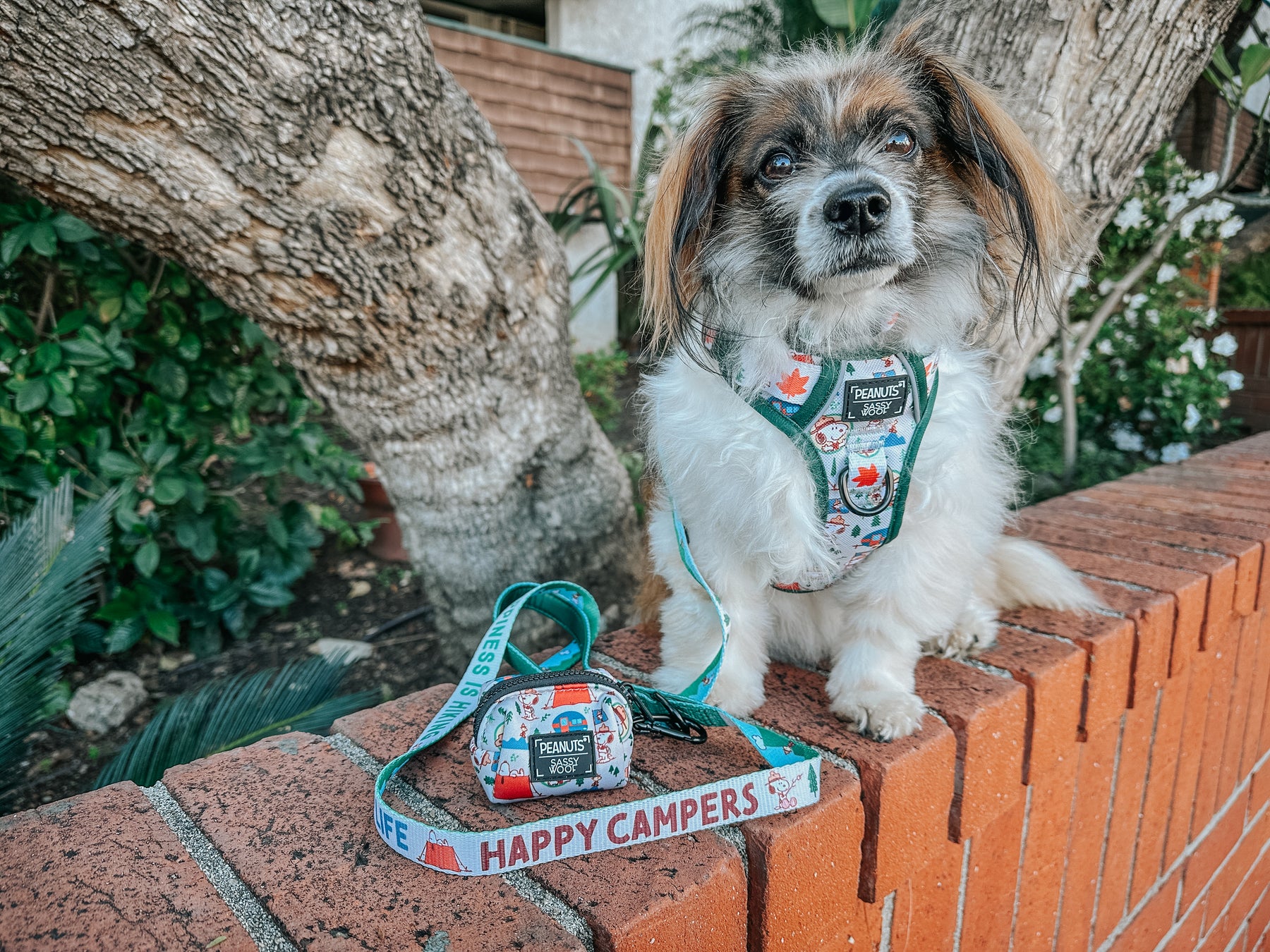 INFLUENCER_CONTENT | @RESCUINGRUTHIE | SIZE S & S