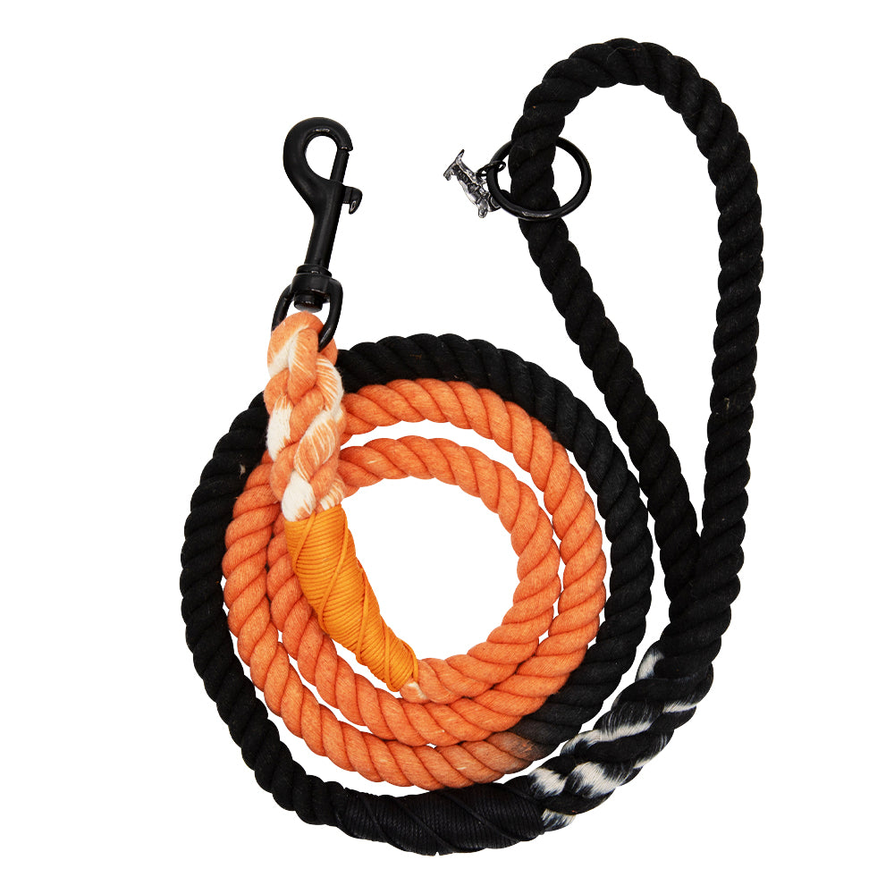 Dog Rope Leash - Bad to the Bone