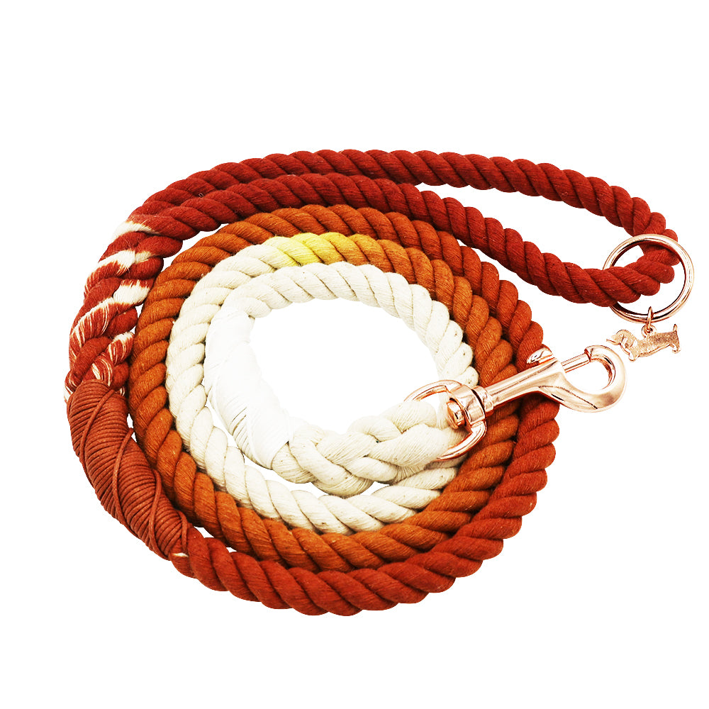 Dog Rope Leash - Ombre Orange