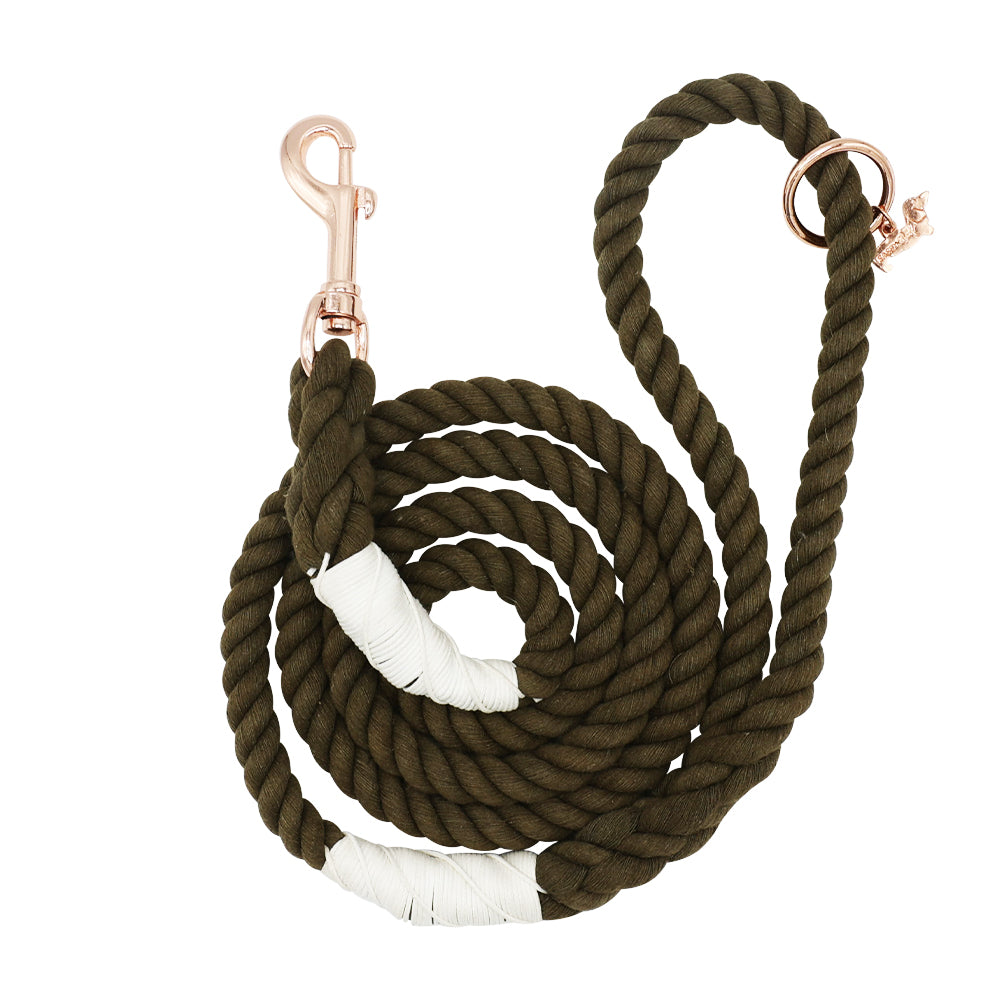 Classic Brown Chewy V Dog Collar and Leash Set