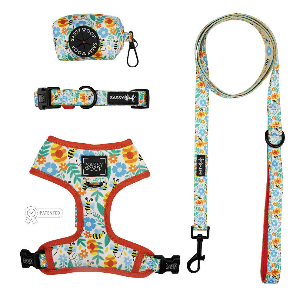 Dog Four Piece Bundle Must Be the Honey Sassy Woof Product