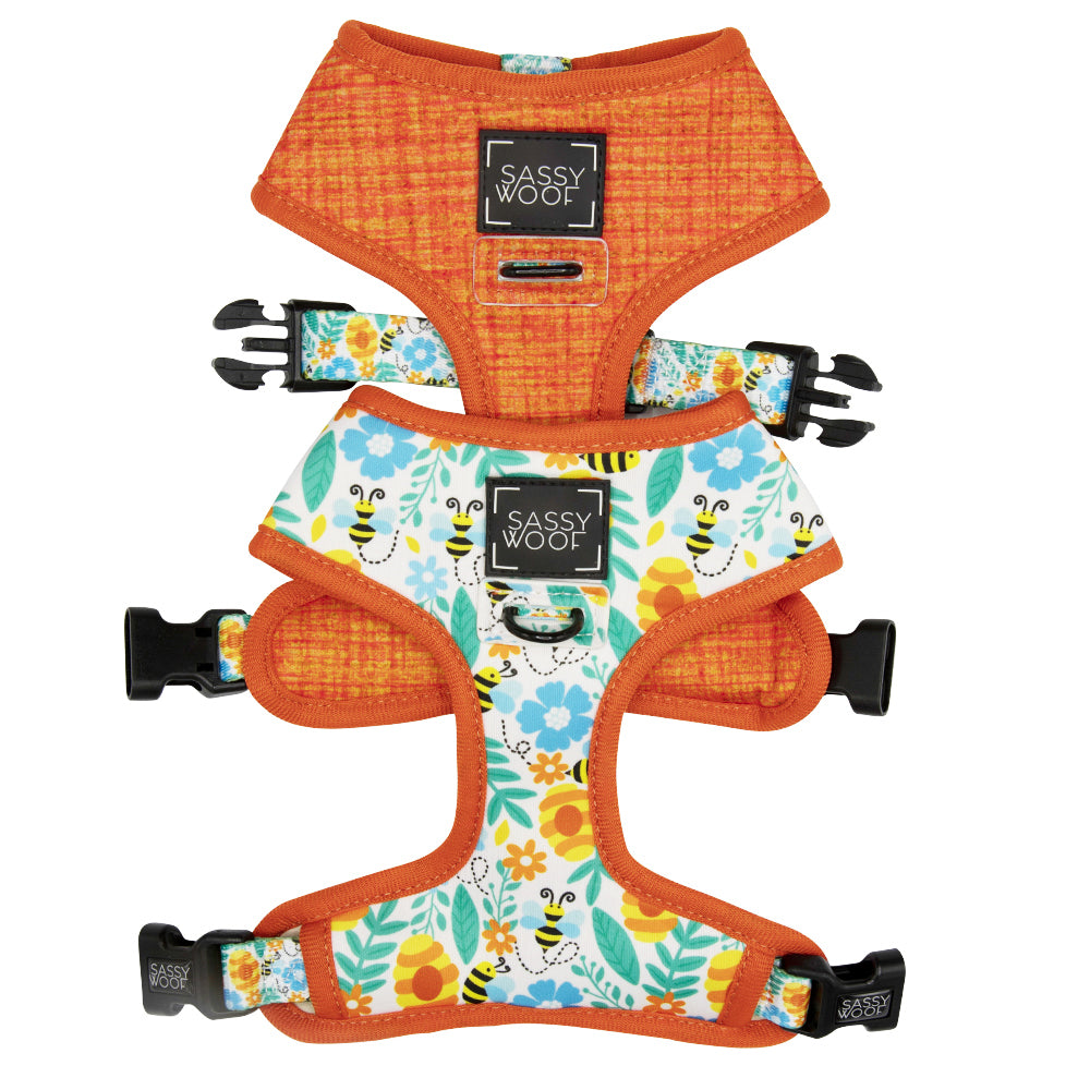 Dog Four Piece Bundle - Must Be the Honey
