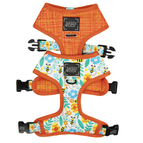 Dog Four Piece Bundle - Must Be the Honey