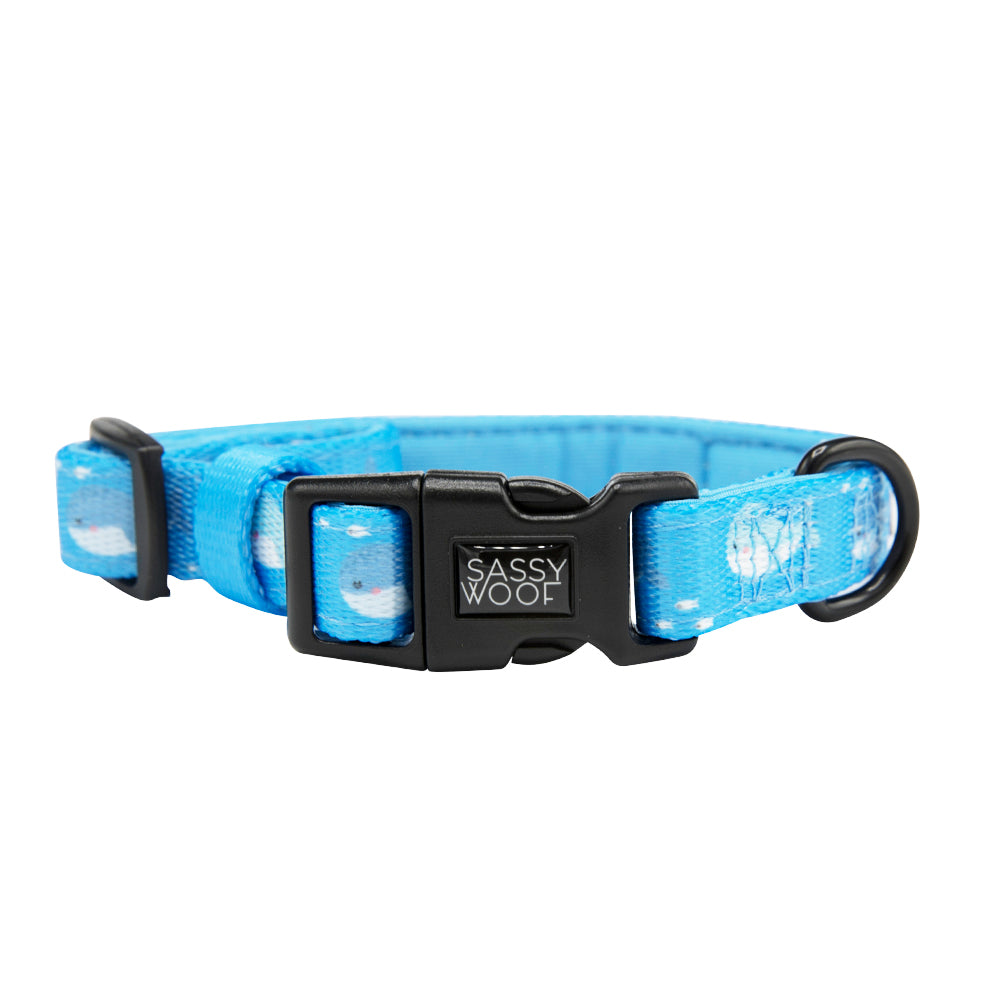 Dog Collar - Might as Whale