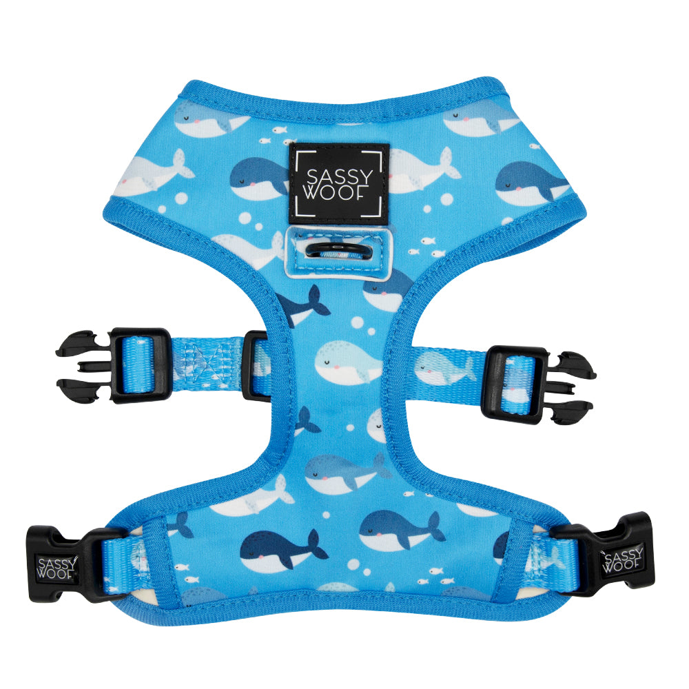 Dog Bundle - Might as Whale
