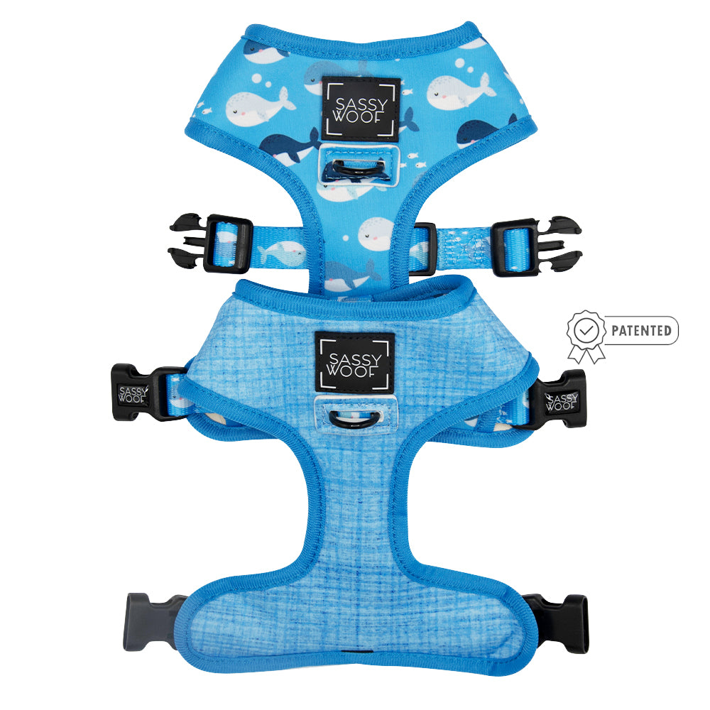 Dog Reversible Harness - Might as Whale