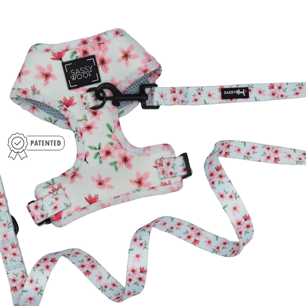 Dog Two Piece Bundle - Sakura