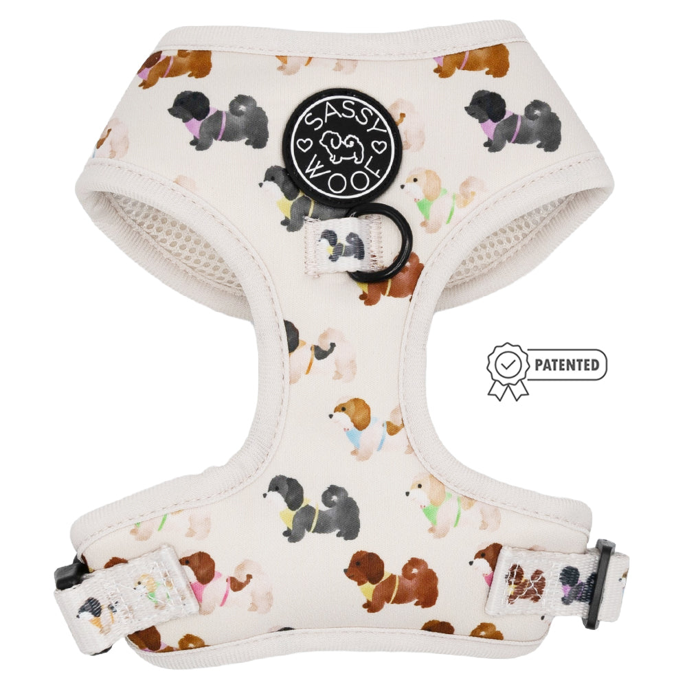 Dog Four Piece Bundle - Spunky Shih Tzus