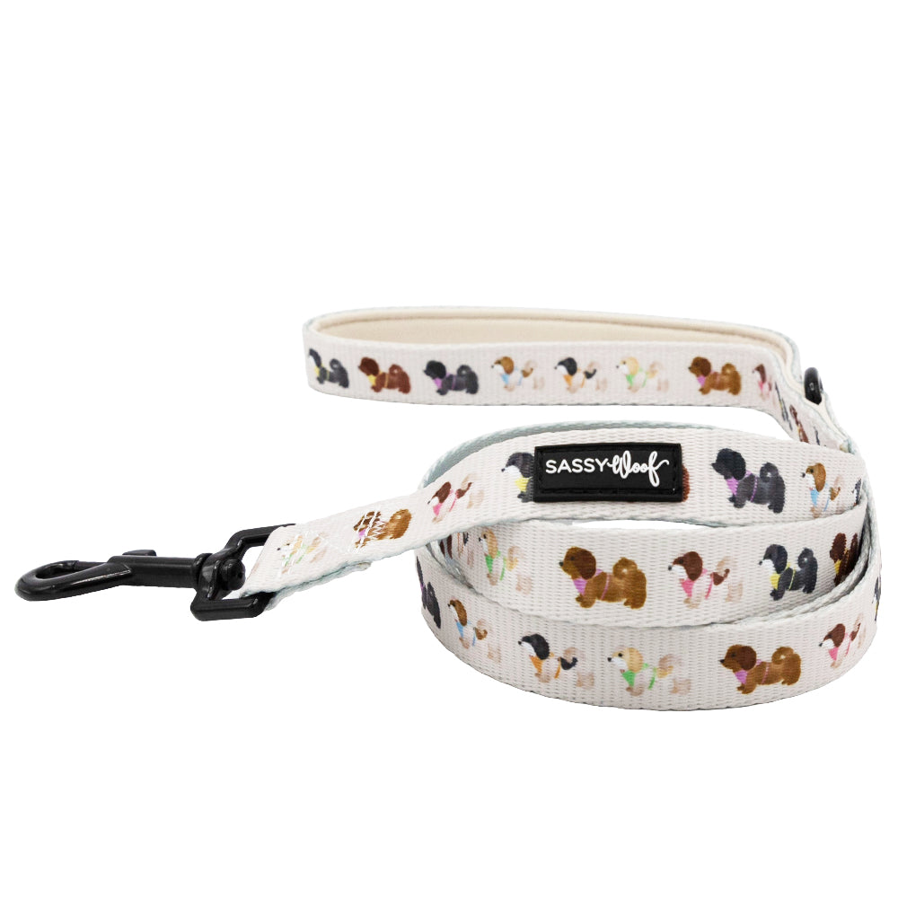 Dog Leash - Spunky Shih Tzus