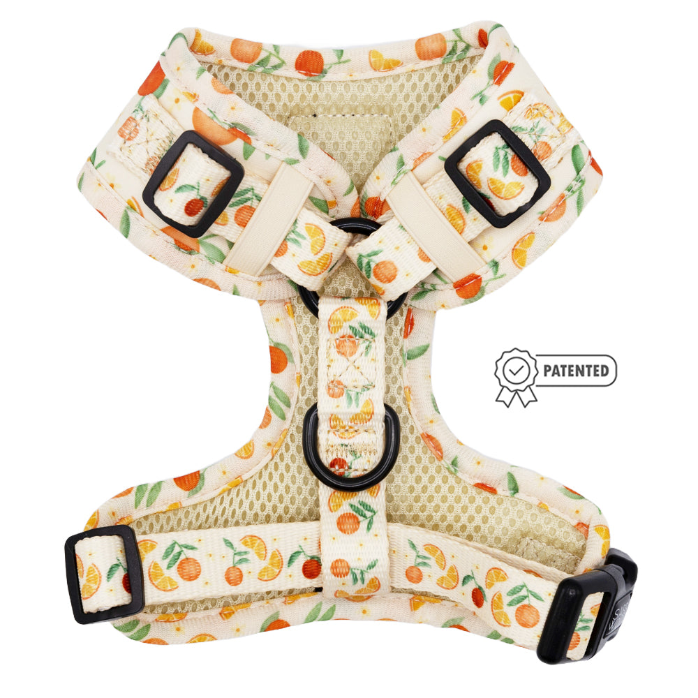 Dog Adjustable Harness - Simply the Zest