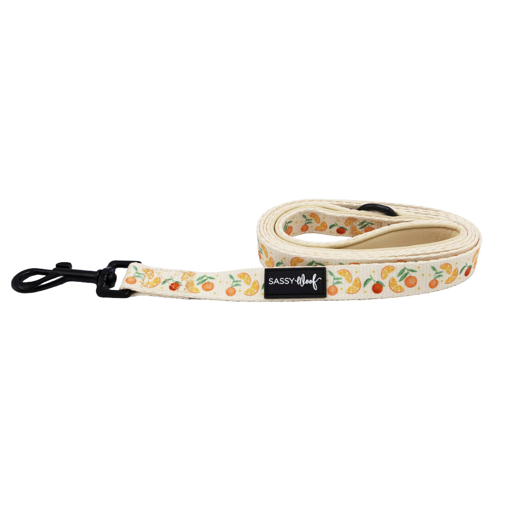 Dog Leash - Simply the Zest
