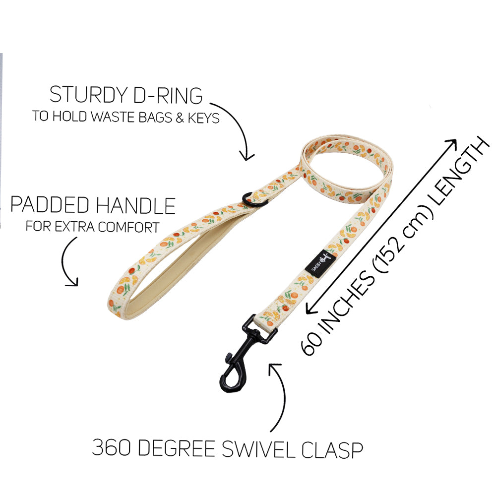 Dog Leash - Simply the Zest