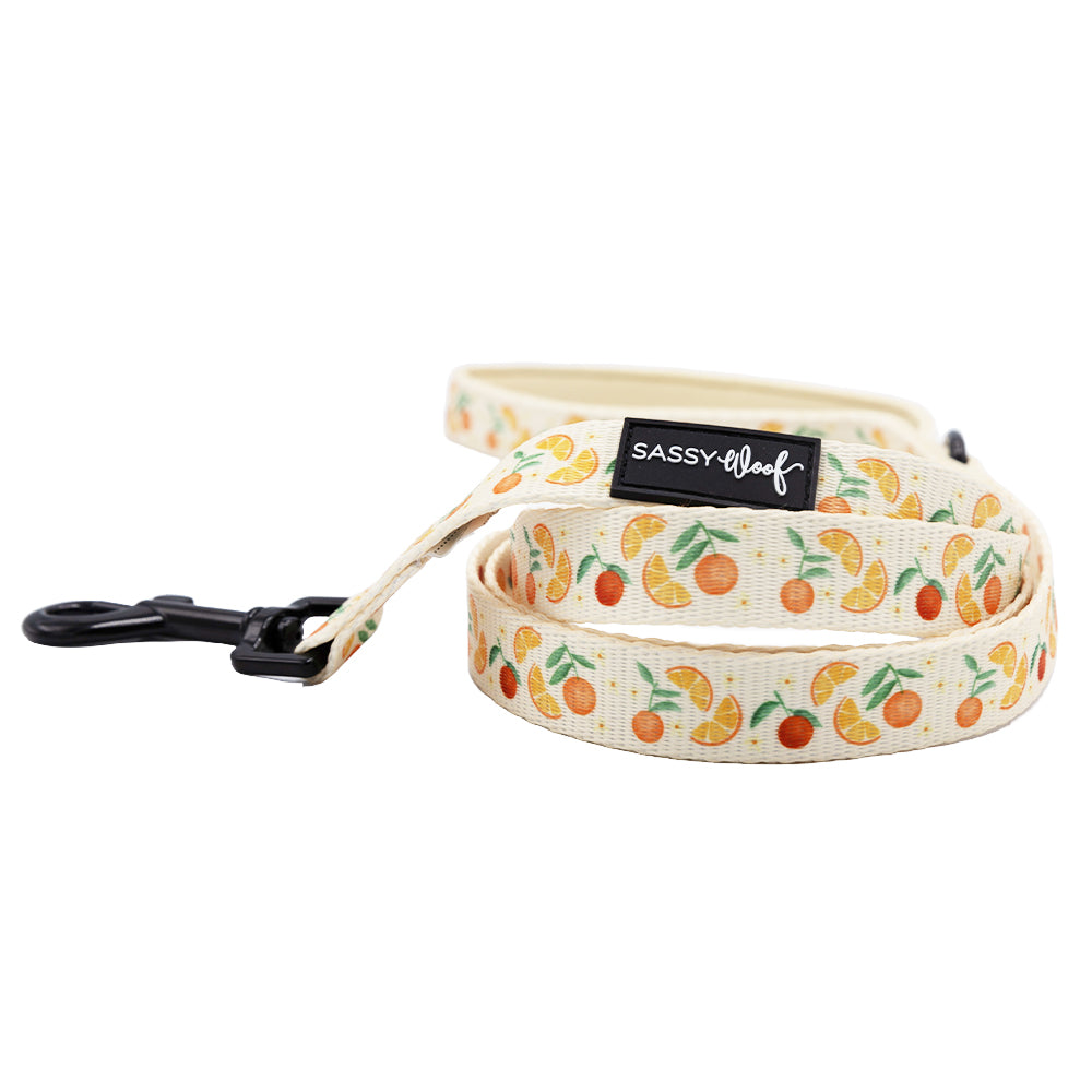 Dog Leash - Simply the Zest