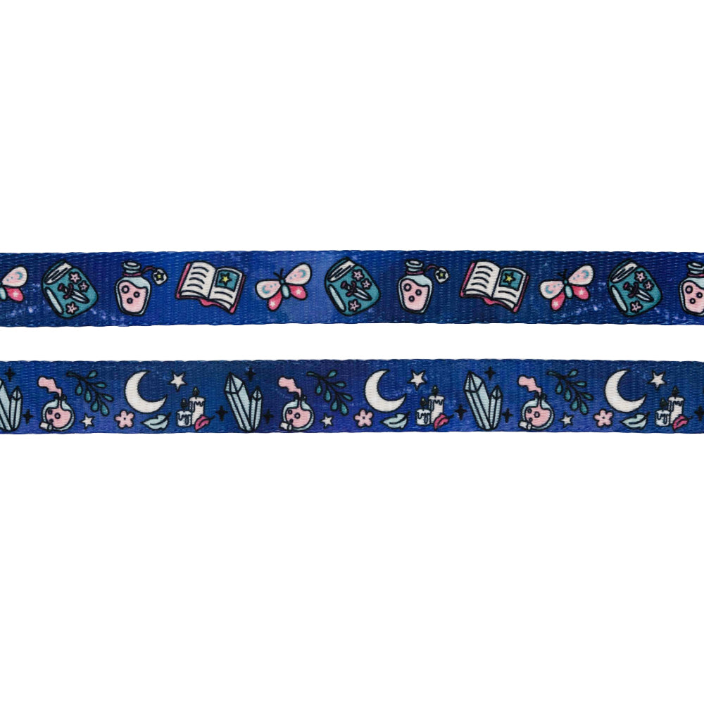 Dog Two Piece Bundle - Spellbound