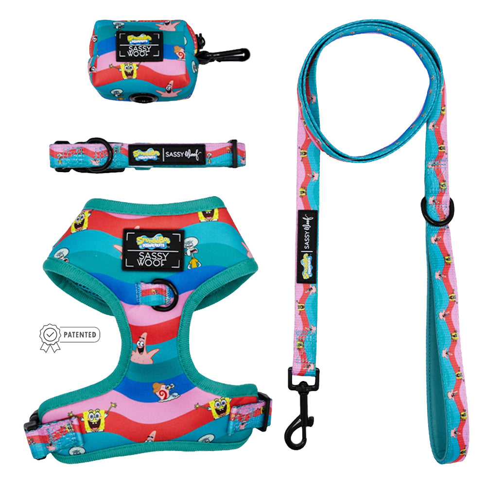 Dog Four Piece Bundle - SpongeBob SquarePants™ and Friends