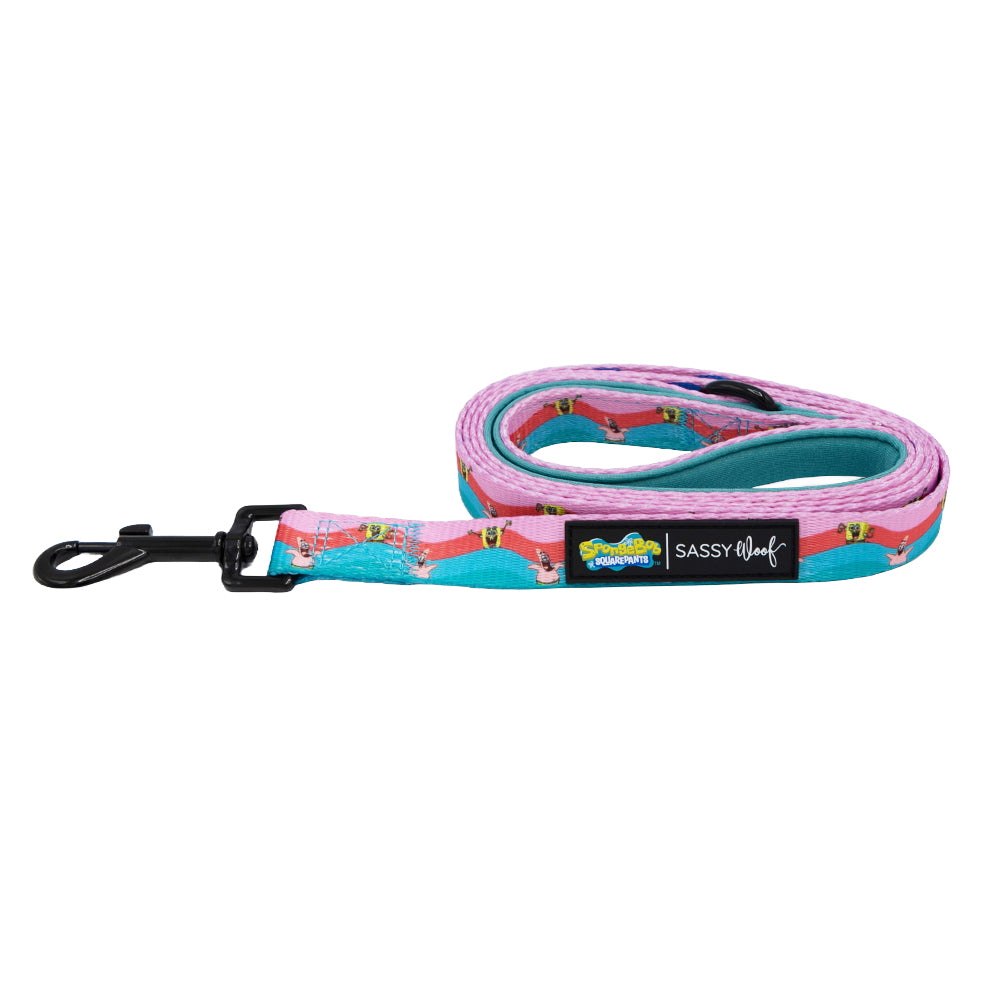 Dog Leash - SpongeBob SquarePants™ and Friends