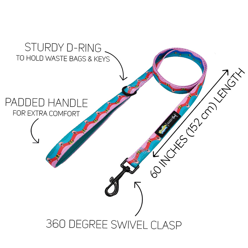 Dog Leash - SpongeBob SquarePants™ and Friends