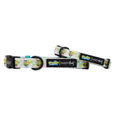 Dog Collar - SpongeBob SquarePants™ Bikini Bottom