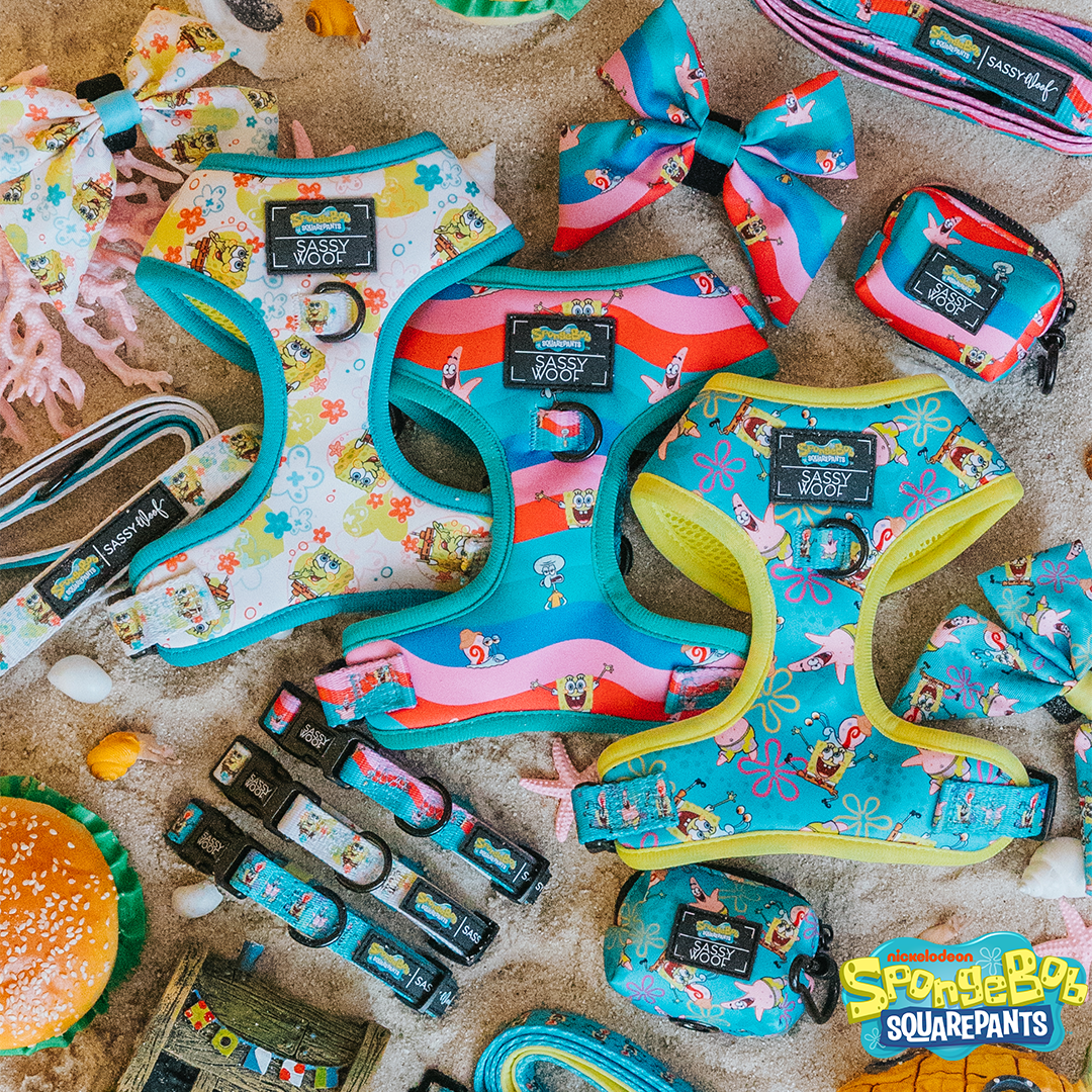 Colorful SpongeBob SquarePants-themed pet accessories, including harnesses, collars, leashes, bows, and waste bag holders, displayed on sand with seashells. The SpongeBob logo is visible in the bottom right corner.