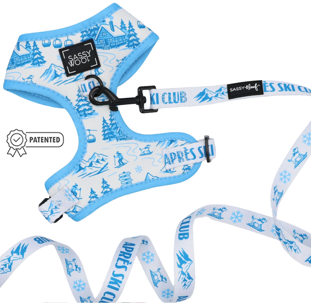 Outfit your pup in style with the Sassy Woof Dog Two Piece Bundle - Après Ski Club, featuring a blue and white adjustable harness and cozy winter-themed leash adorned with illustrations of cabins, ski lifts, snowflakes, and mountains. This set proudly displays Sassy Woof branding and a patented badge for added flair and comfort.