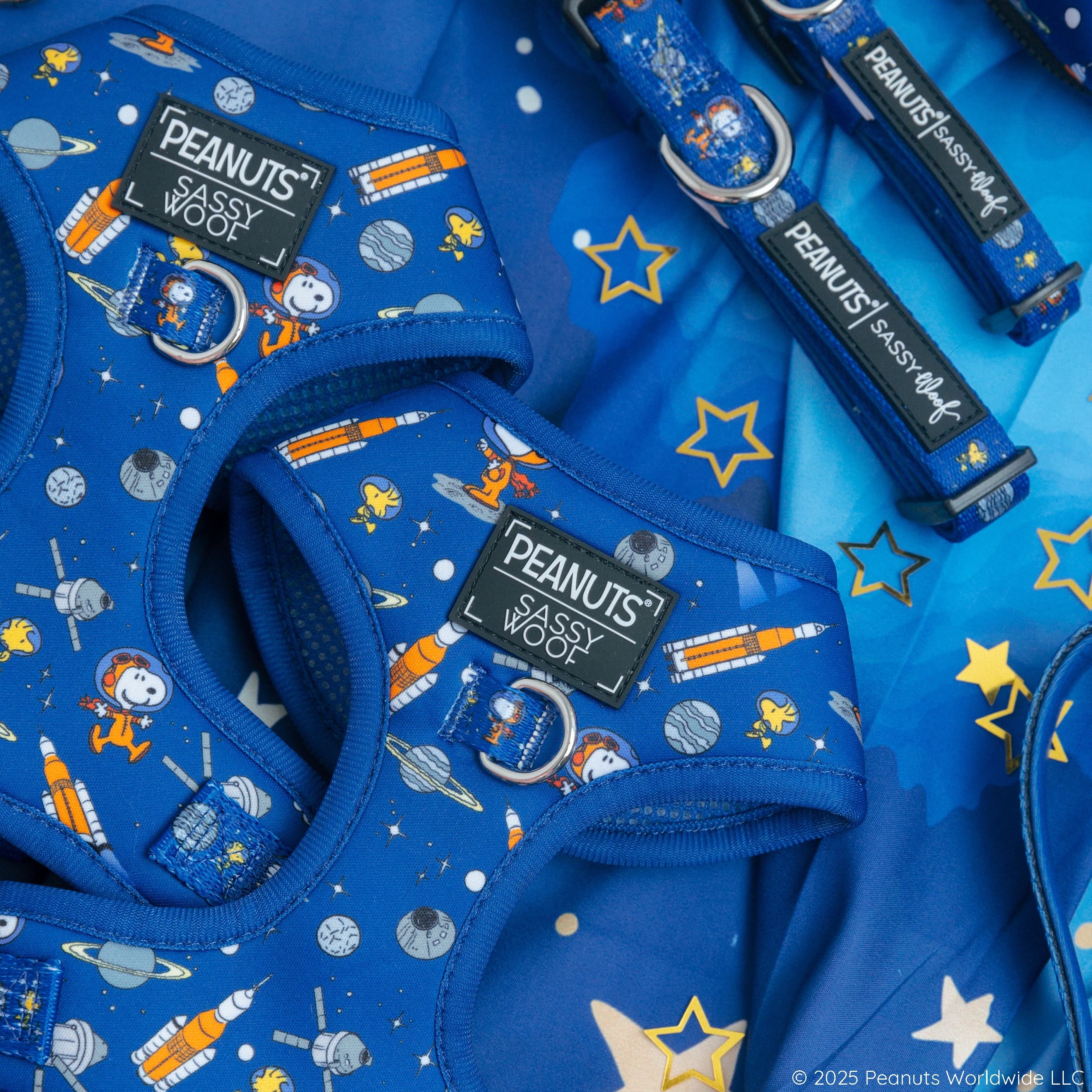 A blue dog harnesses and leashes.