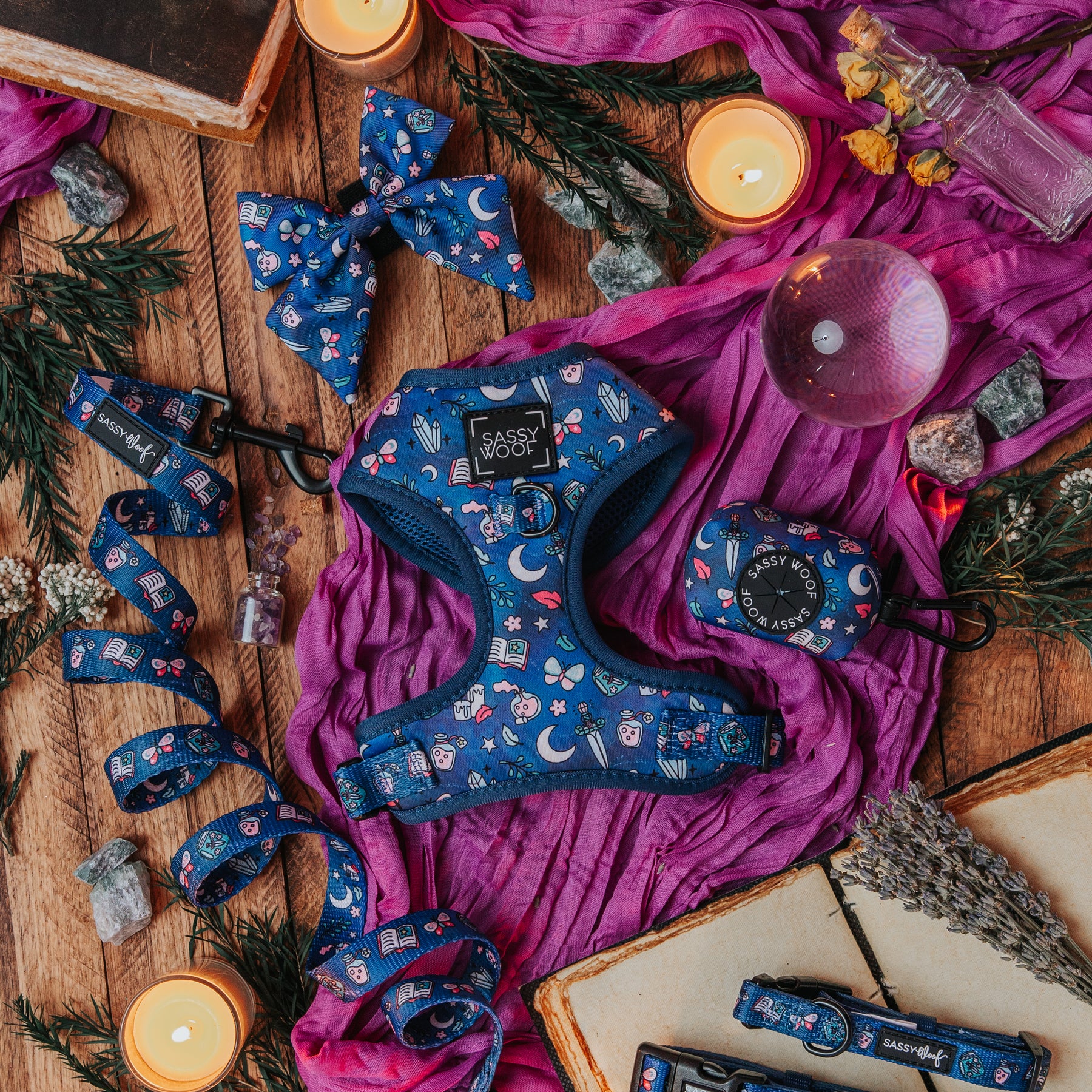 Dog Four Piece Bundle - Spellbound
